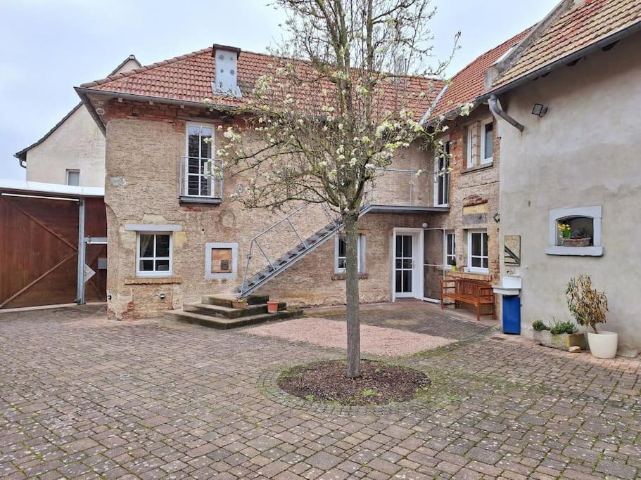 Ferienwohnung Tante Trude Bad Kreuznach Bagian luar foto